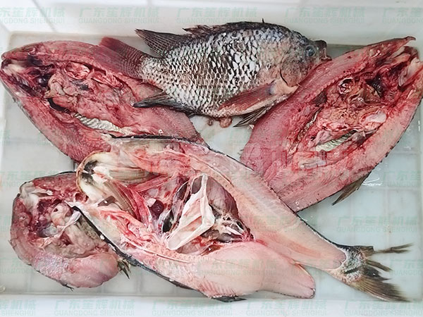 殺魚機(jī) 